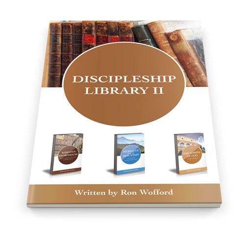 Discipleship Library 2 - Download